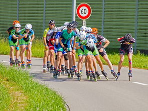 九游平台官网-全国马术耐力赛甘肃举办圆满成功，马术比赛 中国